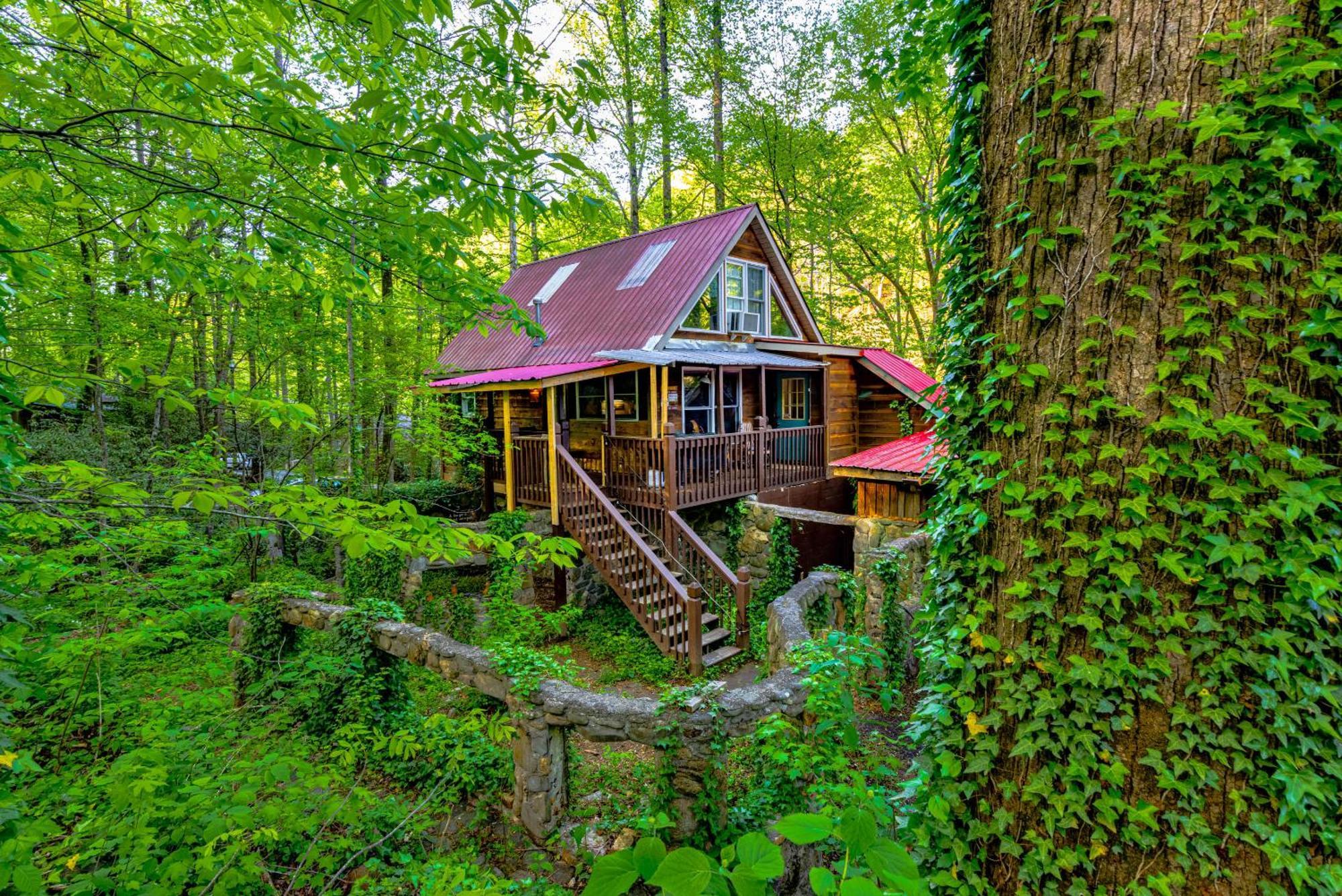 Bear Creek Lodge And Cabins In Helen Ga - Pet Friendly, River On Property, Walking Distance To Downtown Helen Exteriér fotografie